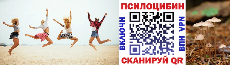 купить наркотики сайты  Мглин  Галлюциногенные грибы Psilocybe 